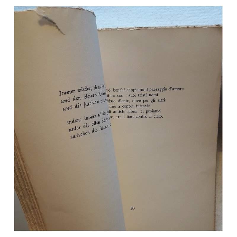 Poesie(rilke)