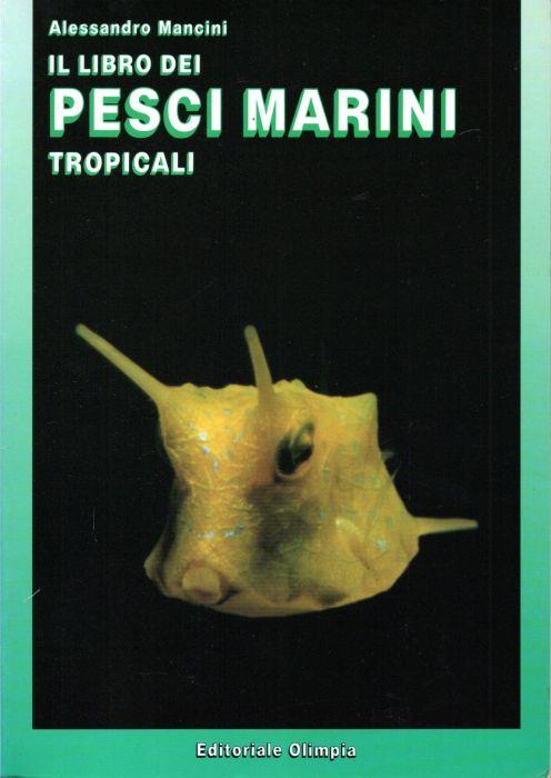 Libreria Mascali