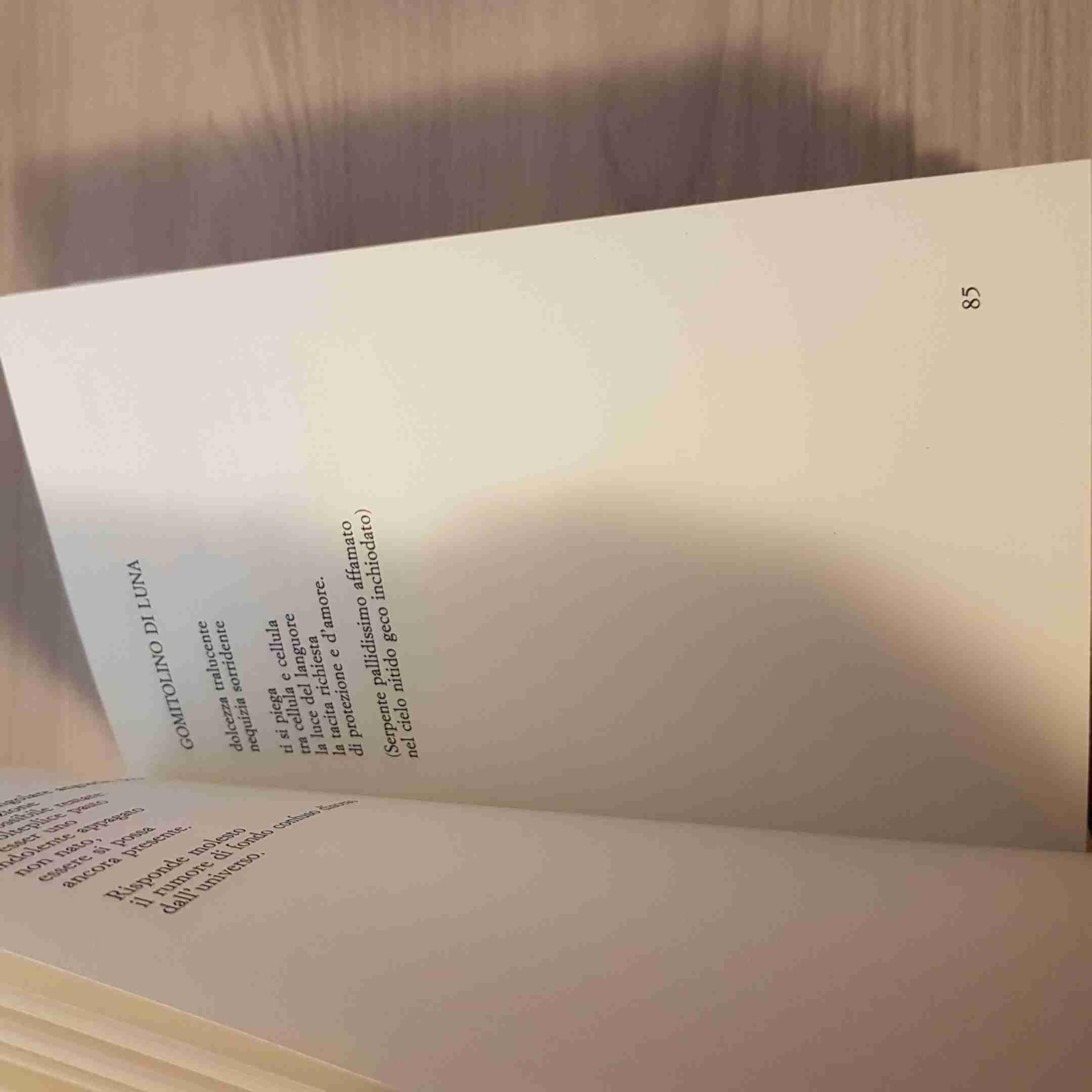 I Viaggi Del Nautilus - Alberto Caramella - Le Lettere - 1997