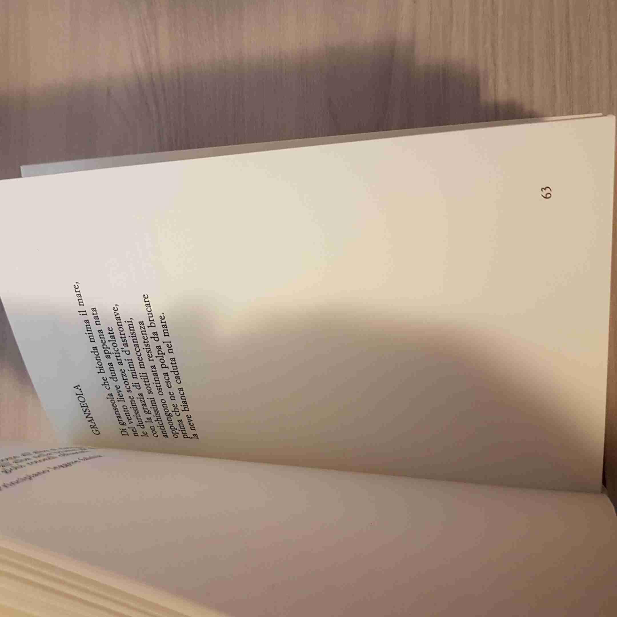 I Viaggi Del Nautilus - Alberto Caramella - Le Lettere - 1997
