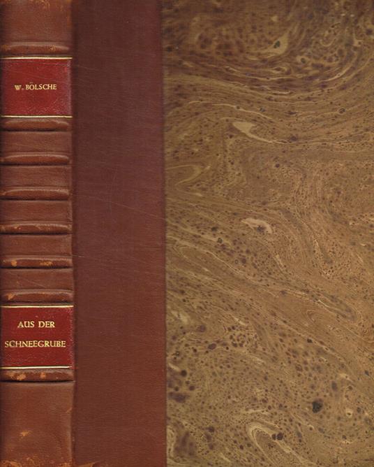 Aus der schneegrube - Wilhelm Bolsche - copertina