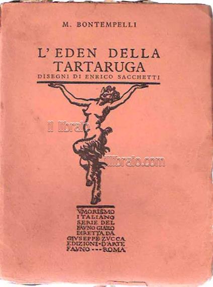 L' Eden della tartaruga - copertina