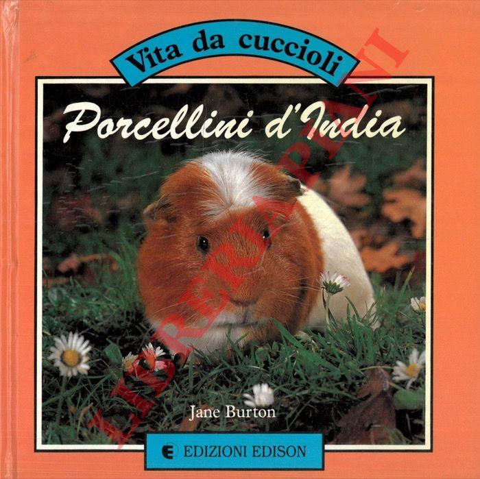 Libreria Piani