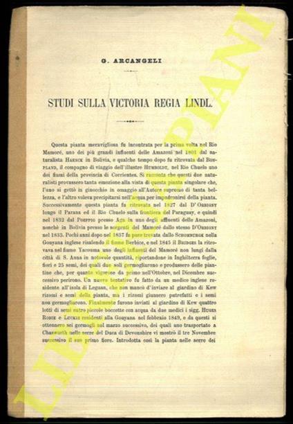 Studi sulla Victoria Regia Lindl - G. Arcangeli - copertina