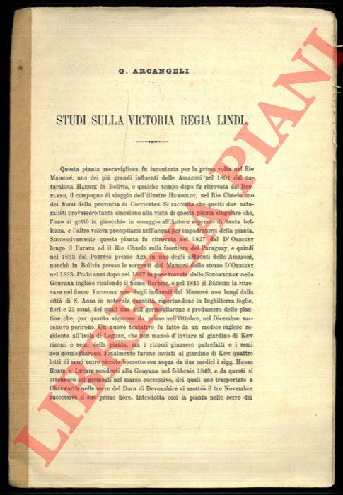 Libreria Piani