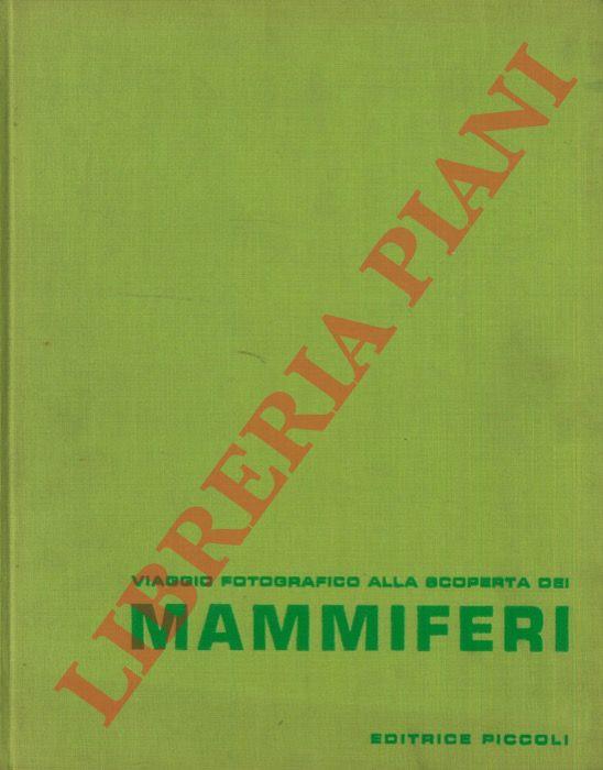 Libreria Piani