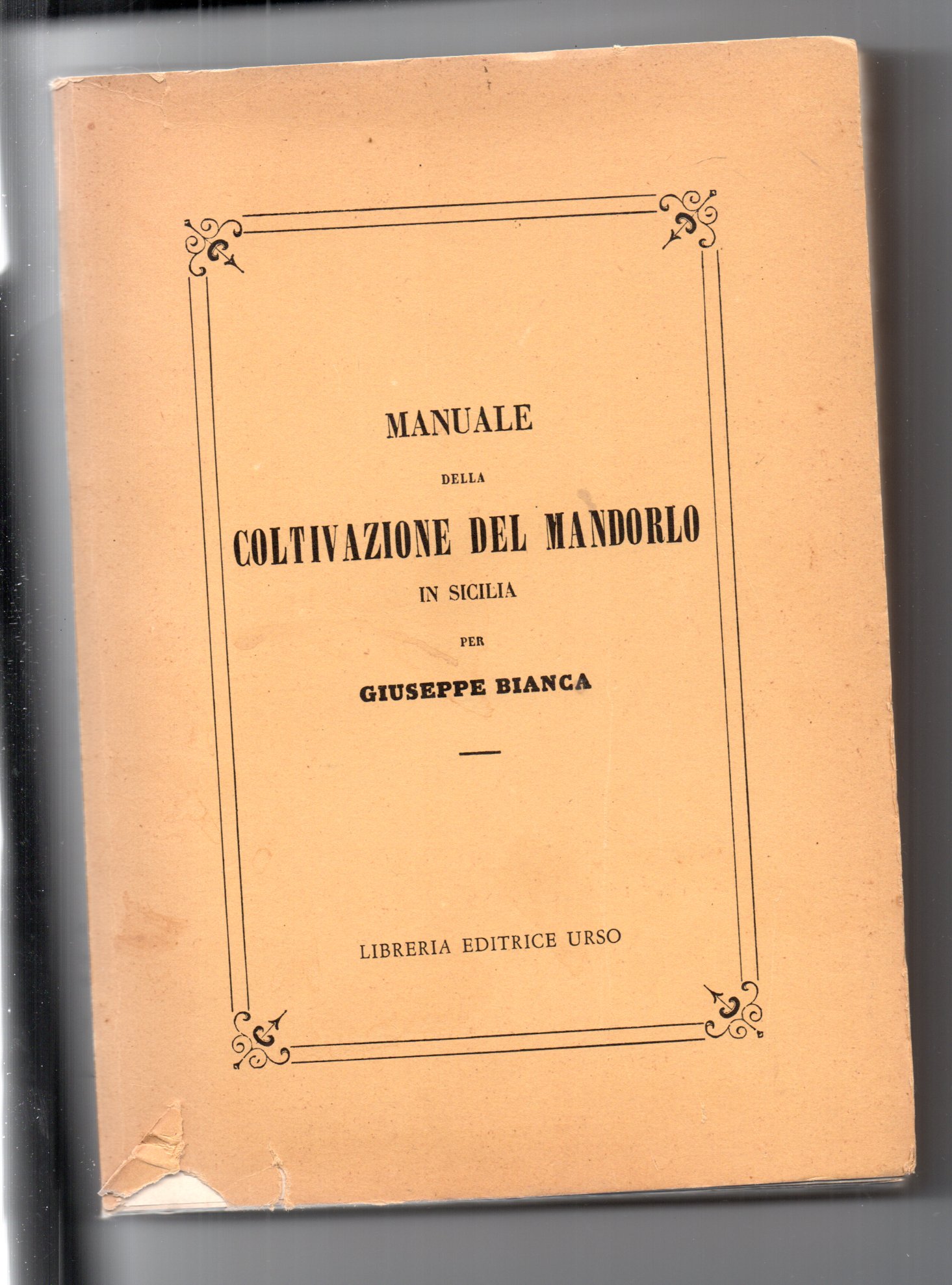 Libreria Mascali