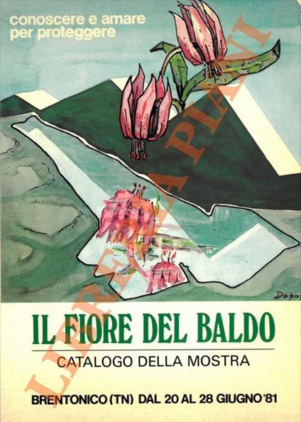 Il fiore del Baldo. Catalogo della mostra - Franco Ottaviani - copertina