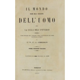 Libreria Antiquaria Giulio Cesare
