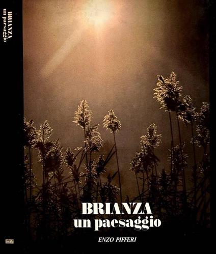Brianza - Enzo Pifferi - copertina