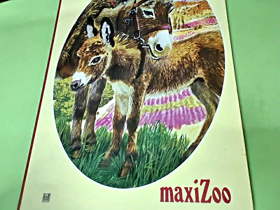 Carù Libreria Dischi
