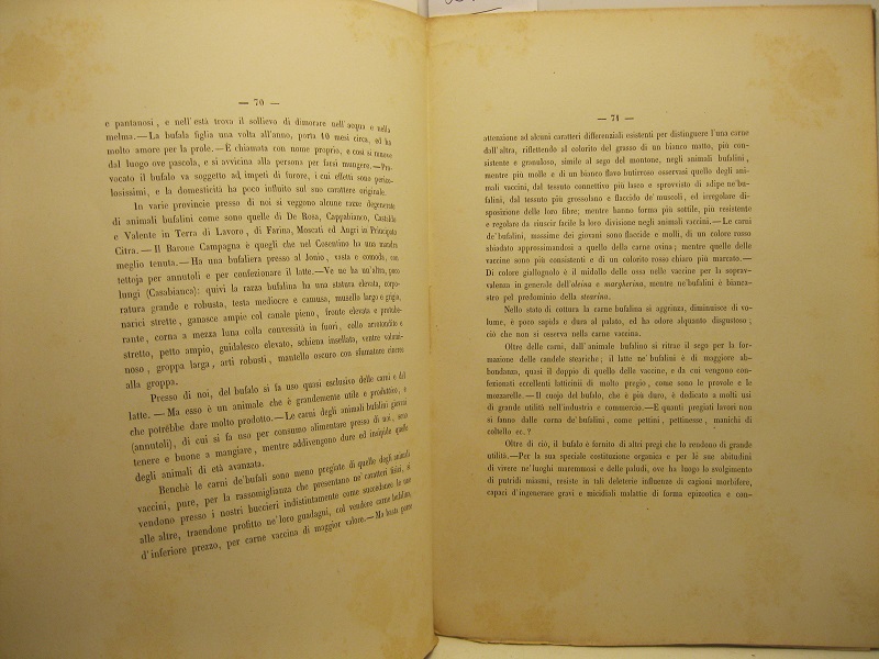 Libreria Coenobium