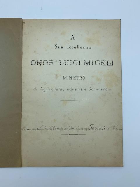 A Sua Eccellenza onor. Luigi Miceli Ministro di Agricoltura, Industria e Commercio. Memoria sulle scuole operaje del prof Giuseppe Ferrari di Verona - Giuseppe Ferrari - copertina