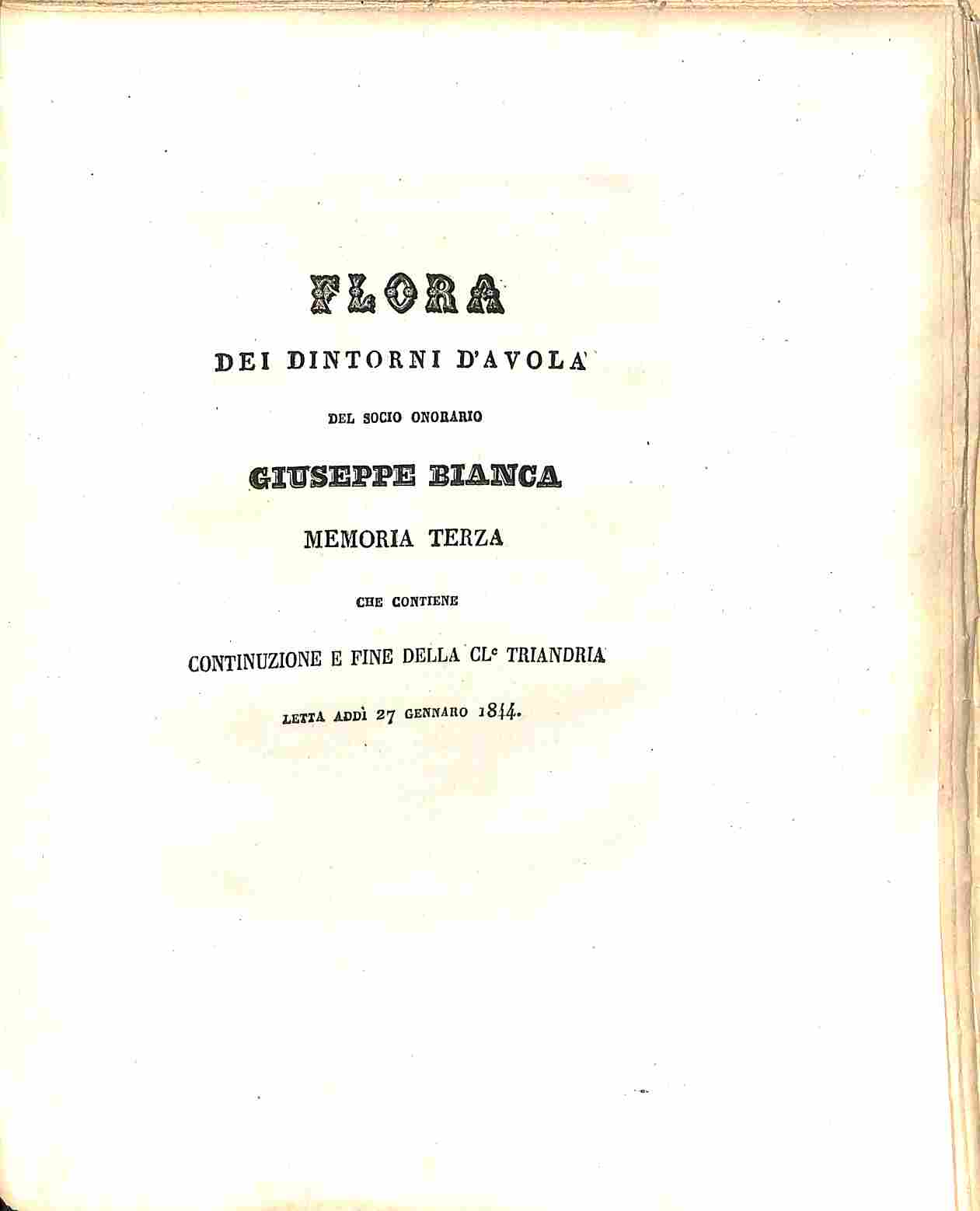 Libreria Coenobium