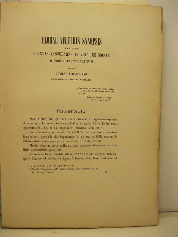 Libreria Coenobium