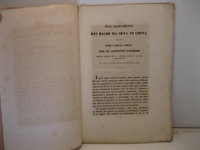 Libreria Coenobium