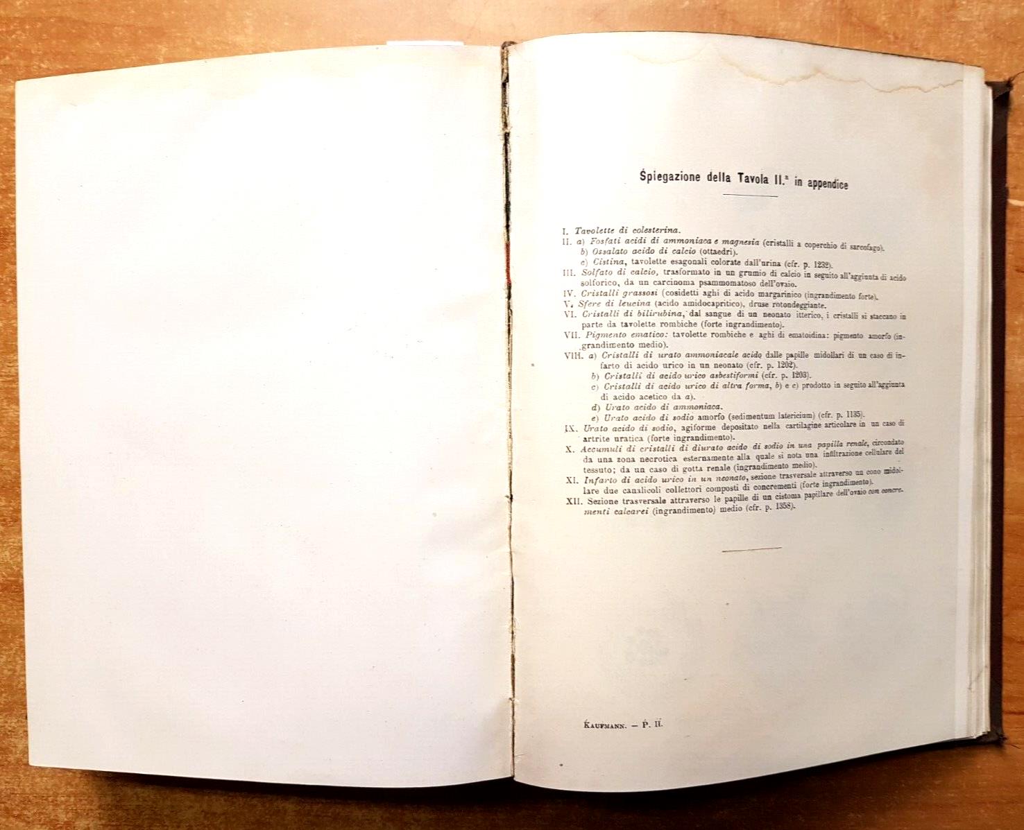 Trattato Di Anatomia Patologica Speciale Parte 2 Kaufmann 1929 Vallardi