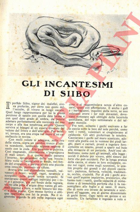 Libreria Piani