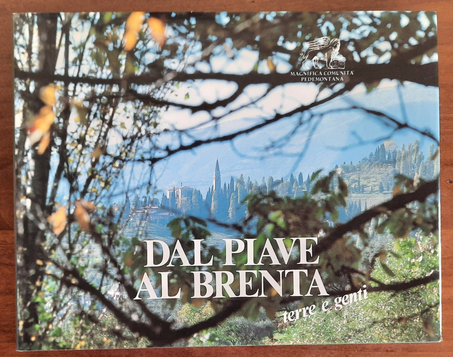 Libreria Biellese