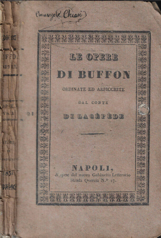 Biblioteca di Babele