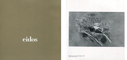 Giuseppe Giannini. Tecniche miste. Galleria d'arte Eidos 1975 - Giuseppe Grandini - copertina