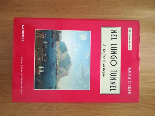 Nel lungo tunnel - Raffaele De Cesare - copertina