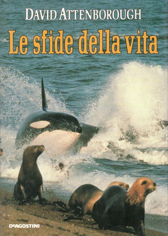 F.E.N. Libreria