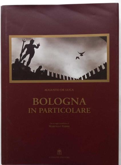 Bologna in particolare - Augusto De Luca - copertina
