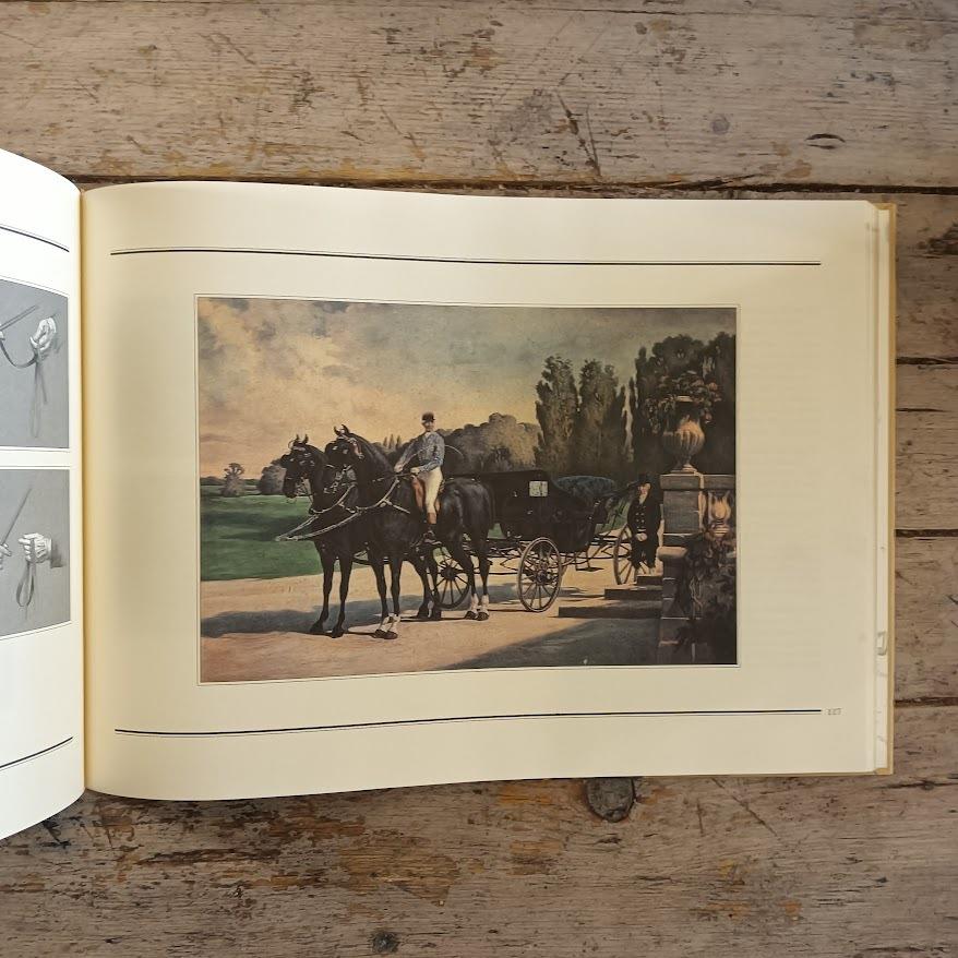 Carrozze e Redini Lunghe. Storia, tradizione e sport - Il Museo della Carrozza di Macerata
