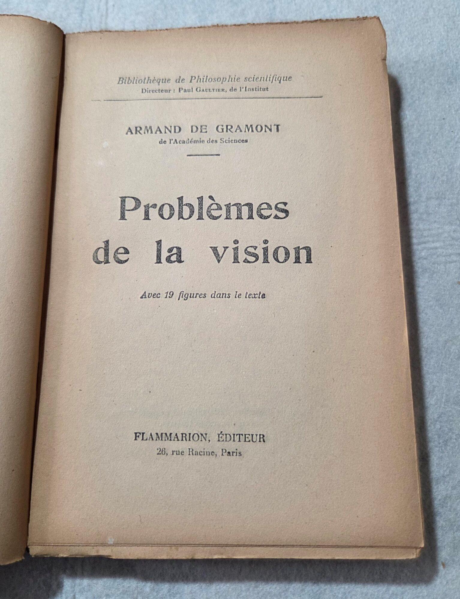 Problemes de la vision