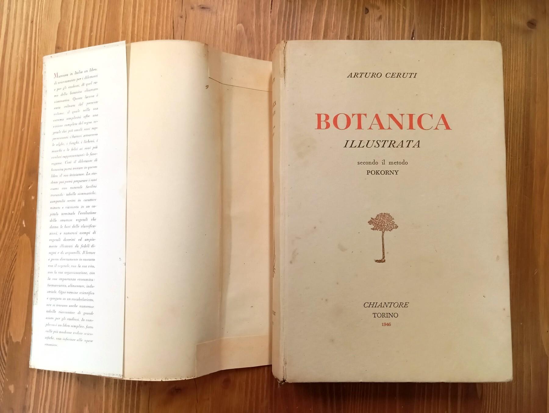 Botanica illustrata secondo il metodo Pokorny