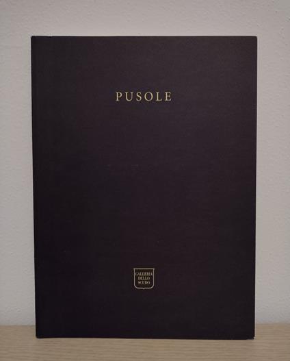 Pusole: standard: opere 2002 - Demetrio Paparoni - copertina