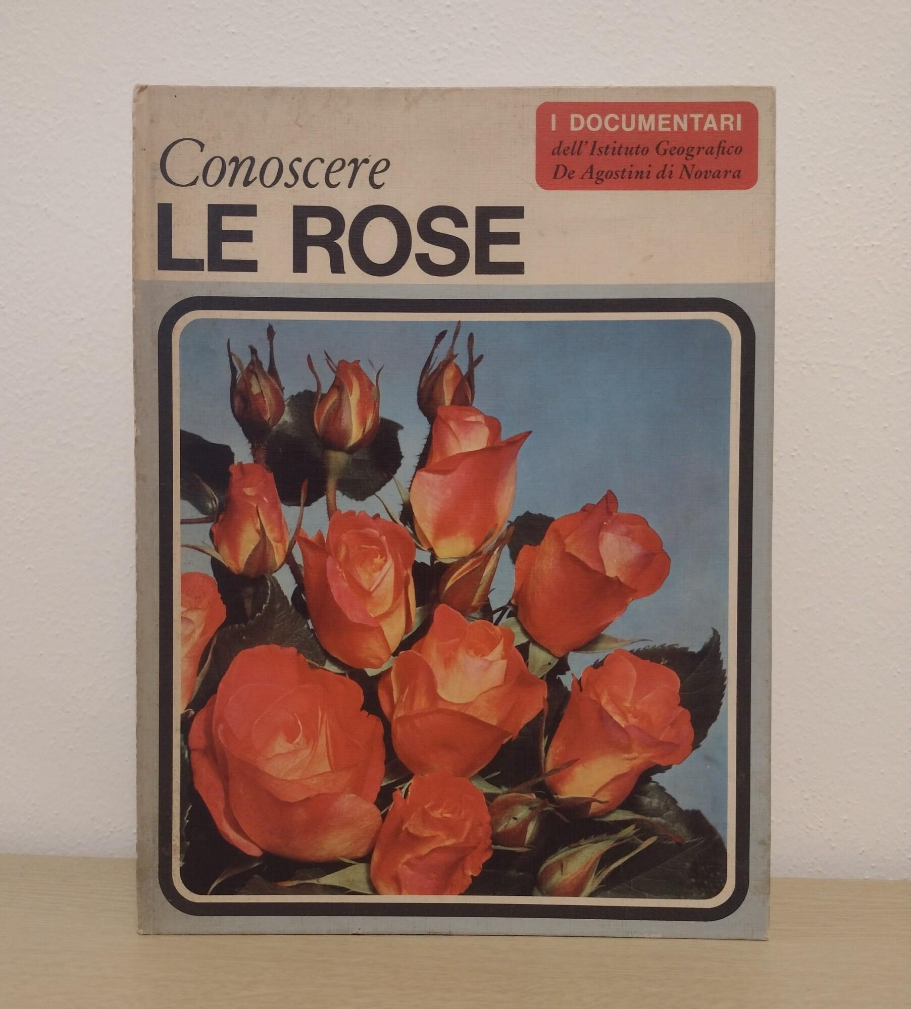 Libreria Volume Secondo