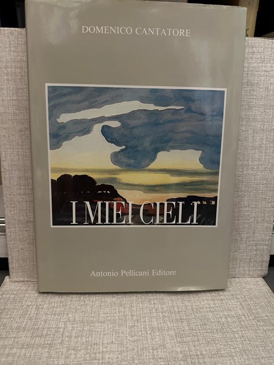 domenico cantatore I MIEI CIELI antonio pellicani - copertina
