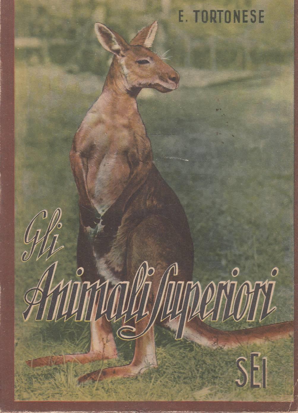 Gli ANIMALI SUPERIORI Nella loro struttura e nella loro vita