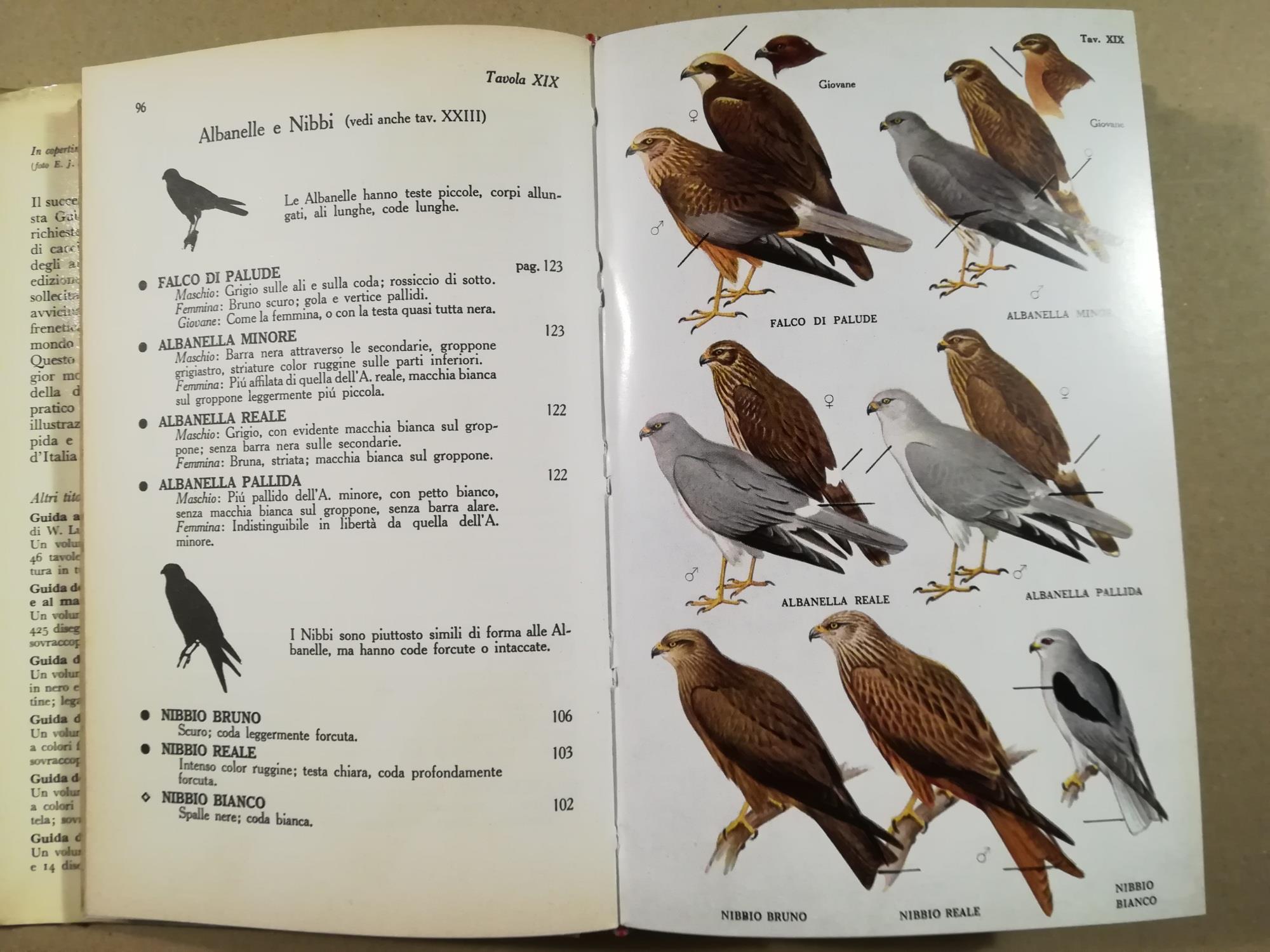 Guida degli uccelli d'Europa