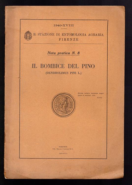 Il Bombice del pino - copertina
