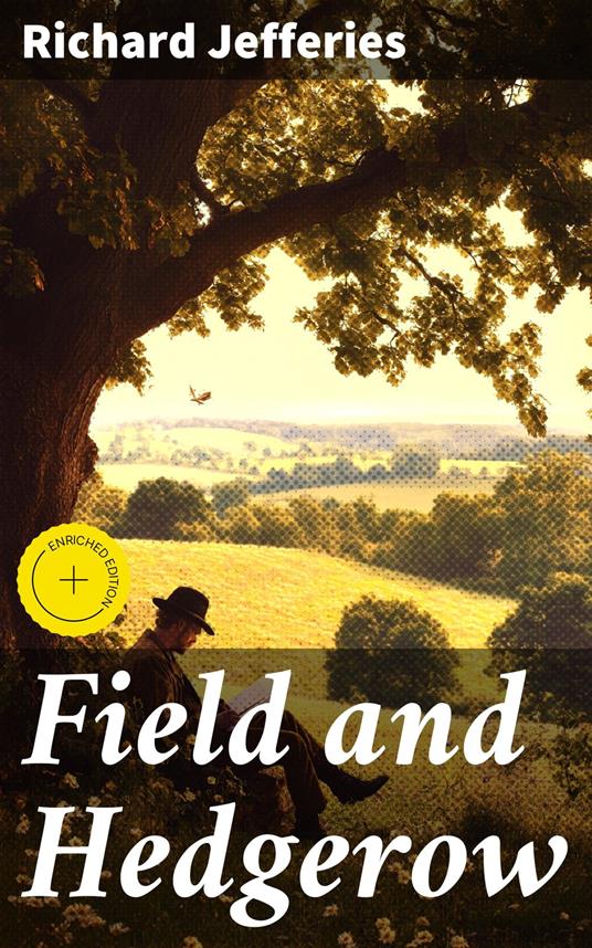 Field and Hedgerow