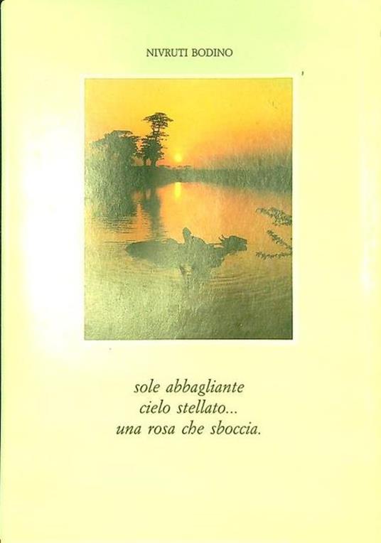 Sole abbagliante cielo stellato una rosa che sboccia - copertina