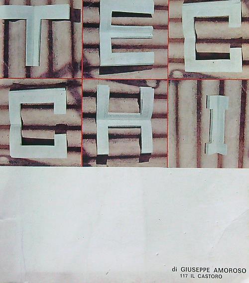 Bonaventura Tecchi - Giuseppe Amoroso - copertina