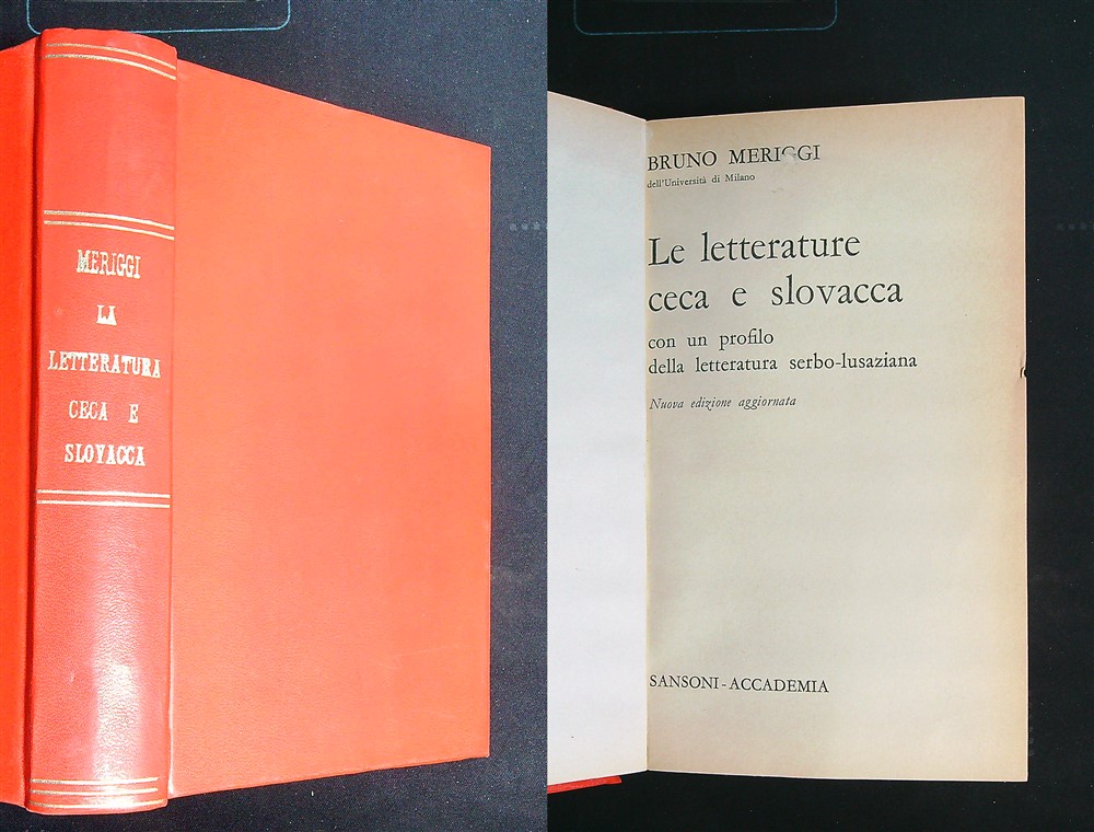 Libro di Faccia