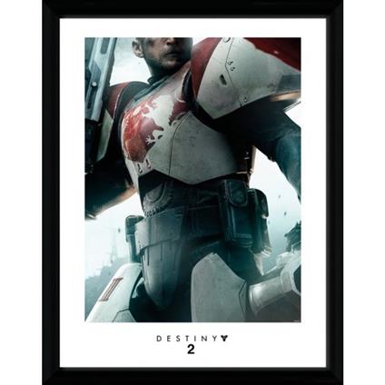 Stampa In Cornice 30x40 Destiny 2. Titan