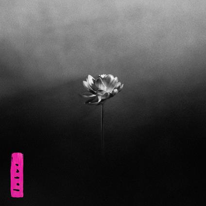 Lotus (Vinyl Pink) - Vinile LP di Little Simz
