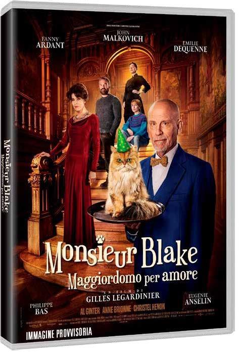 Monsieur Blake. Maggiordomo per amore (DVD) di Gilles Legardinier - DVD