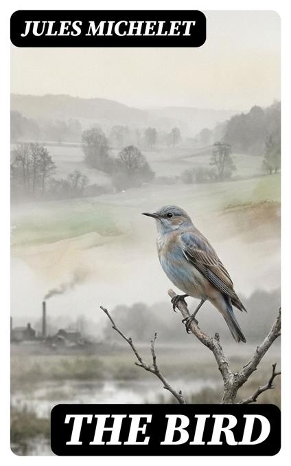The Bird