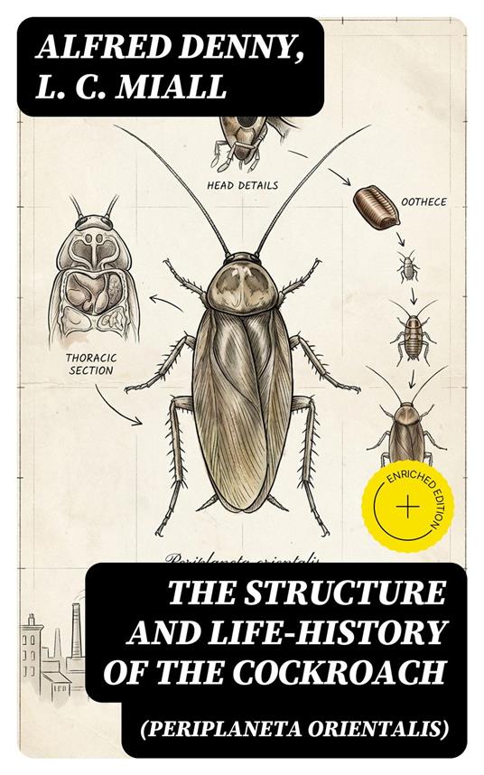 The Structure and Life-history of the Cockroach (Periplaneta orientalis)