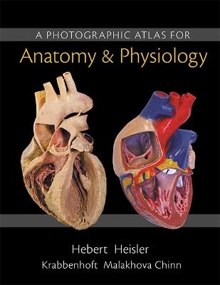 Photographic Atlas for Anatomy & Physiology, A - Nora Hebert,Ruth Heisler,Karen Krabbenhoft - cover
