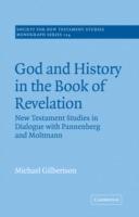 God and History in the Book of Revelation: New Testament Studies in Dialogue with Pannenberg and Moltmann - Michael Gilbertson - cover