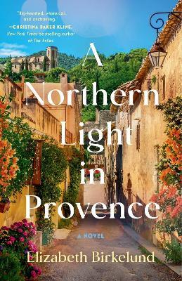 A Northern Light in Provence: A Novel - Elizabeth Birkelund - cover