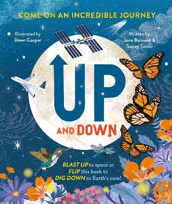 Up and Down: Come on an incredible journey - Tracey Turner,Jane Burnard - cover